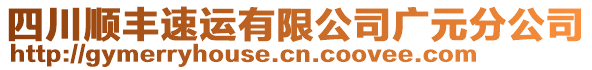 四川順豐速運有限公司廣元分公司