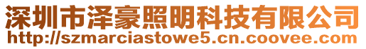 深圳市澤豪照明科技有限公司