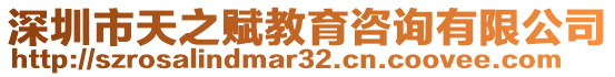 深圳市天之賦教育咨詢有限公司