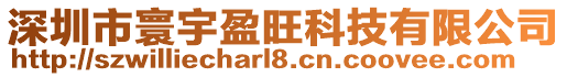 深圳市寰宇盈旺科技有限公司