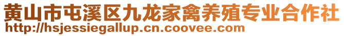 黃山市屯溪區(qū)九龍家禽養(yǎng)殖專業(yè)合作社