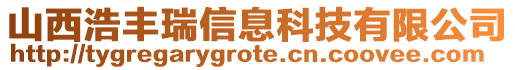 山西浩豐瑞信息科技有限公司