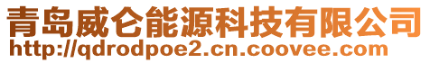 青島威侖能源科技有限公司