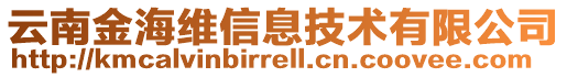 云南金海維信息技術(shù)有限公司