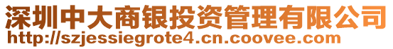 深圳中大商銀投資管理有限公司