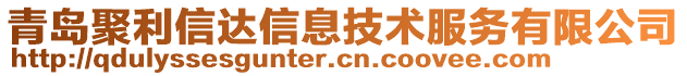 青島聚利信達(dá)信息技術(shù)服務(wù)有限公司