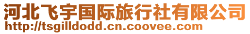 河北飛宇國際旅行社有限公司