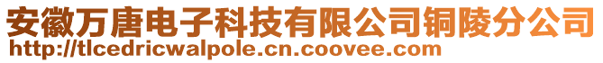 安徽萬唐電子科技有限公司銅陵分公司