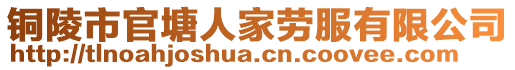 銅陵市官塘人家勞服有限公司