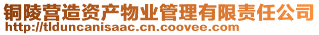 銅陵營造資產(chǎn)物業(yè)管理有限責任公司