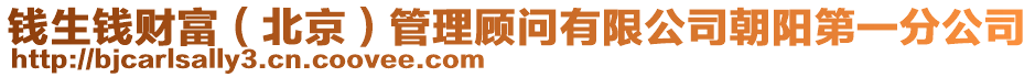 錢生錢財富(北京)管理顧問有限公司朝陽第一分公司