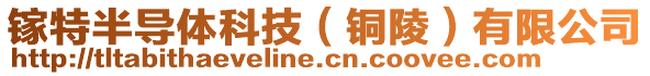 鎵特半導(dǎo)體科技(銅陵)有限公司