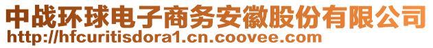 中戰(zhàn)環(huán)球電子商務(wù)安徽股份有限公司