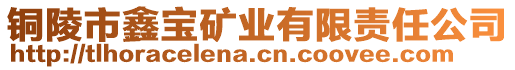 銅陵市鑫寶礦業(yè)有限責任公司