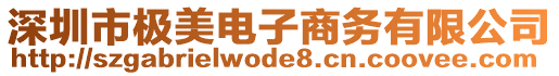 深圳市極美電子商務有限公司