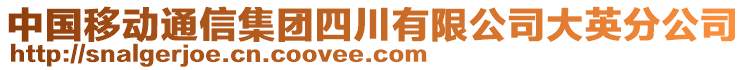 中國(guó)移動(dòng)通信集團(tuán)四川有限公司大英分公司