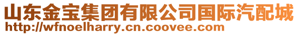 山東金寶集團有限公司國際汽配城