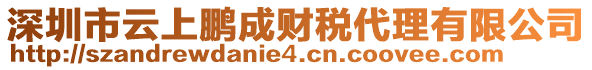 深圳市云上鵬成財(cái)稅代理有限公司