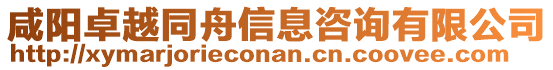 咸陽卓越同舟信息咨詢有限公司