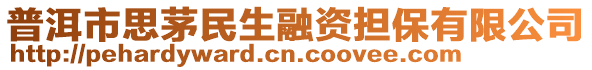 普洱市思茅民生融資擔(dān)保有限公司
