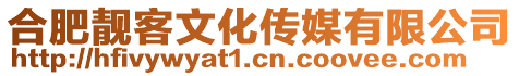 合肥靚客文化傳媒有限公司