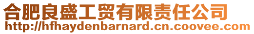合肥良盛工貿有限責任公司