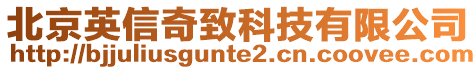 北京英信奇致科技有限公司