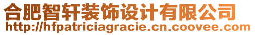 合肥智軒裝飾設計有限公司