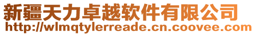 新疆天力卓越軟件有限公司