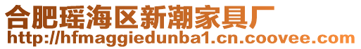 合肥瑤海區新潮家具廠