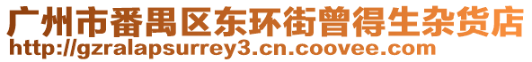 廣州市番禺區(qū)東環(huán)街曾得生雜貨店