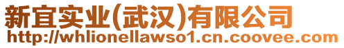 新宜實業(武漢)有限公司