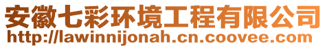 安徽七彩環(huán)境工程有限公司