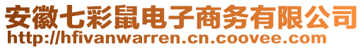 安徽七彩鼠電子商務(wù)有限公司