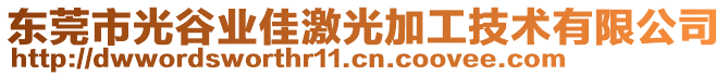 東莞市光谷業(yè)佳激光加工技術(shù)有限公司