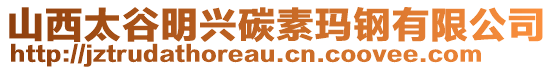 山西太谷明興碳素瑪鋼有限公司