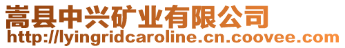 嵩縣中興礦業(yè)有限公司