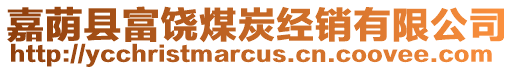 嘉蔭縣富饒煤炭經(jīng)銷有限公司