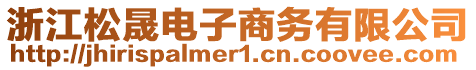浙江松晟電子商務有限公司