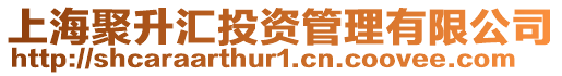 上海聚升匯投資管理有限公司