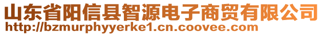 山東省陽信縣智源電子商貿(mào)有限公司