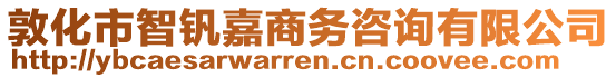 敦化市智釩嘉商務(wù)咨詢有限公司