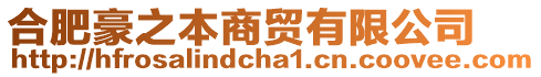 合肥豪之本商贸有限公司