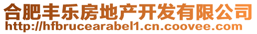 合肥豐樂房地產(chǎn)開發(fā)有限公司