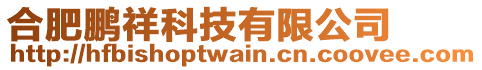 合肥鵬祥科技有限公司