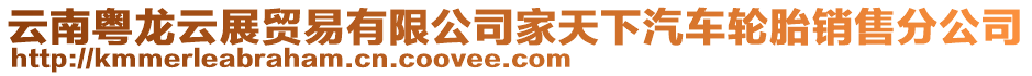 云南粵龍?jiān)普官Q(mào)易有限公司家天下汽車輪胎銷售分公司