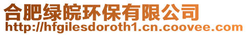 合肥綠皖環(huán)保有限公司