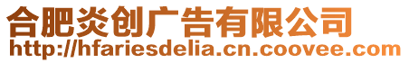 合肥炎創廣告有限公司