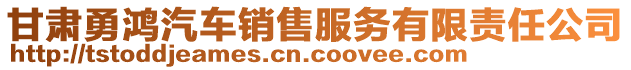 甘肅勇鴻汽車銷售服務(wù)有限責(zé)任公司