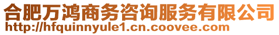 合肥萬鴻商務(wù)咨詢服務(wù)有限公司